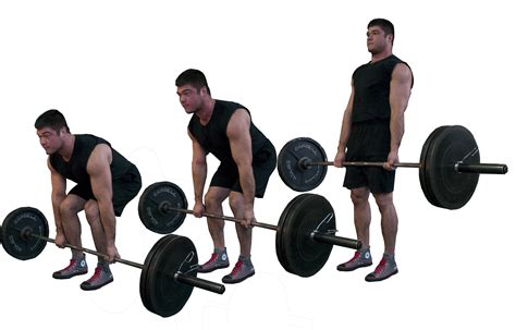 Pick up the barbell using the conventional deadlift form (see above for cues). Once you're in the standing position, ensure the feet are shoulder width apart and the shoulder blades are rolled ...